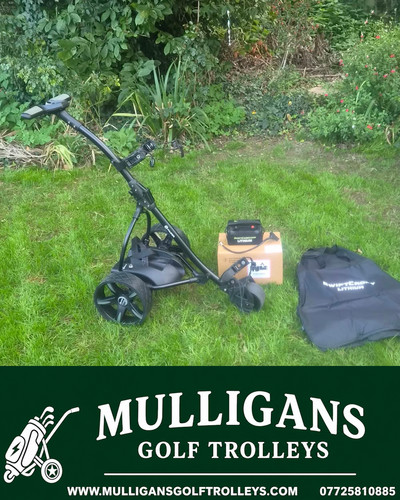 Used fazer electric golf - fazer,